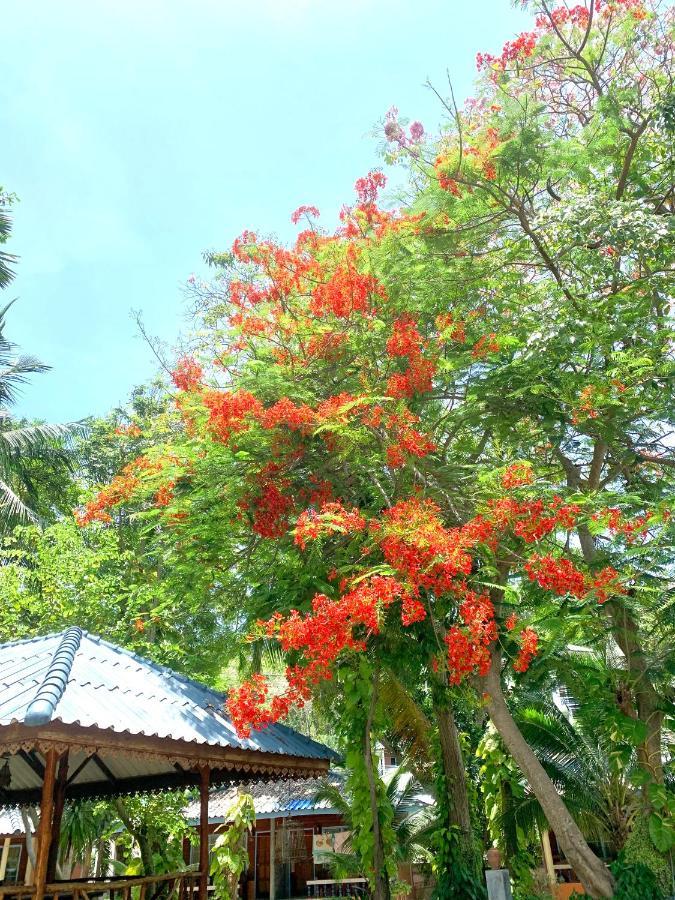 Koh Tao Tropicana Resort Exterior photo