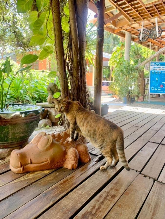 Koh Tao Tropicana Resort Exterior photo
